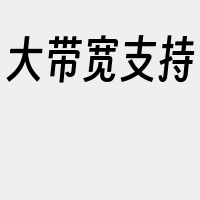 大带宽支持