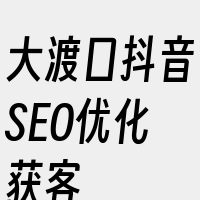 大渡口抖音SEO优化获客