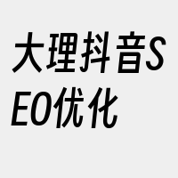 大理抖音SEO优化