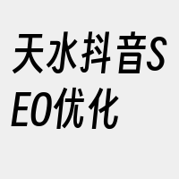 天水抖音SEO优化