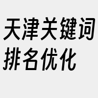 天津关键词排名优化