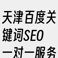 天津百度关键词SEO一对一服务