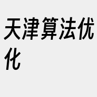 天津算法优化