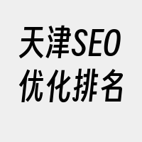 天津SEO优化排名