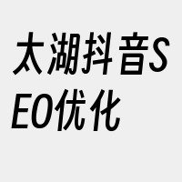 太湖抖音SEO优化