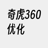 奇虎360优化