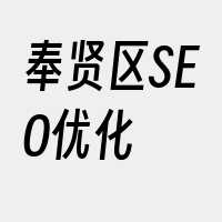 奉贤区SEO优化