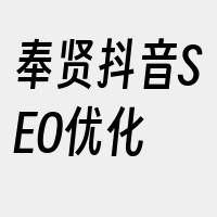 奉贤抖音SEO优化