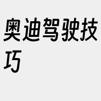 奥迪驾驶技巧