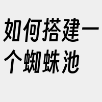 如何搭建一个蜘蛛池