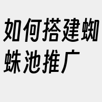 如何搭建蜘蛛池推广