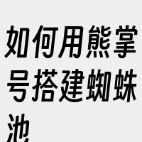 如何用熊掌号搭建蜘蛛池