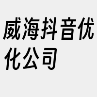 威海抖音优化公司