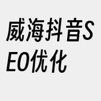 威海抖音SEO优化