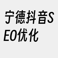 宁德抖音SEO优化