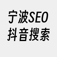 宁波SEO抖音搜索