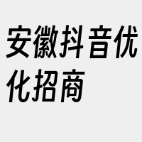 安徽抖音优化招商