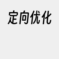 定向优化