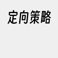 定向策略