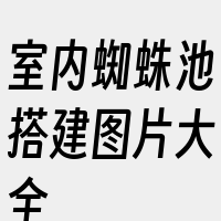 室内蜘蛛池搭建图片大全