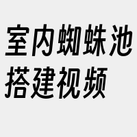 室内蜘蛛池搭建视频