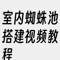 室内蜘蛛池搭建视频教程