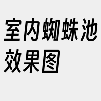 室内蜘蛛池效果图