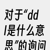 对于“ddl是什么意思”的询问