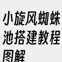 小旋风蜘蛛池搭建教程图解