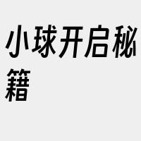 小球开启秘籍