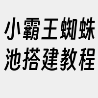 小霸王蜘蛛池搭建教程