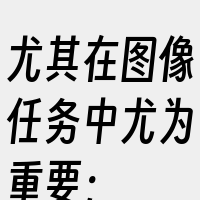 尤其在图像任务中尤为重要；