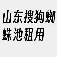 山东搜狗蜘蛛池租用