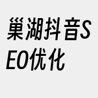 巢湖抖音SEO优化