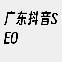 广东抖音SEO