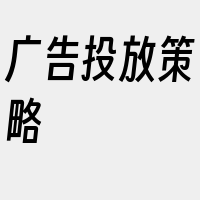 广告投放策略