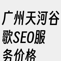 广州天河谷歌SEO服务价格