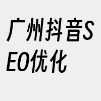 广州抖音SEO优化