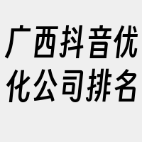 广西抖音优化公司排名