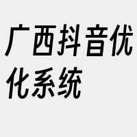 广西抖音优化系统