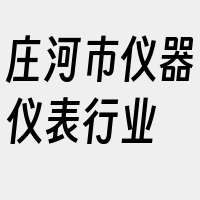 庄河市仪器仪表行业