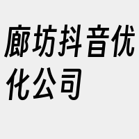 廊坊抖音优化公司