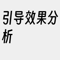 引导效果分析