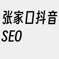 张家口抖音SEO