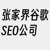 张家界谷歌SEO公司