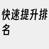 快速提升排名