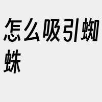 怎么吸引蜘蛛