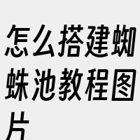 怎么搭建蜘蛛池教程图片