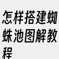 怎样搭建蜘蛛池图解教程