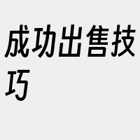 成功出售技巧